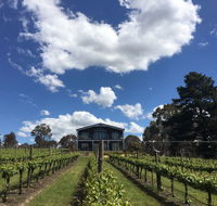 Mortimer's Accommodation amongst the Vines - Hobart Tourism