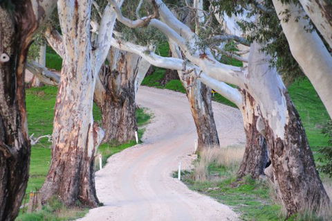 Barrenjoey Hideaway - Hobart Tourism 2