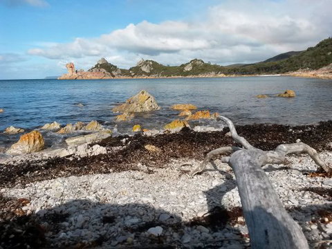 Eagle's Roost Farmstay B&B - Tourism TAS 8