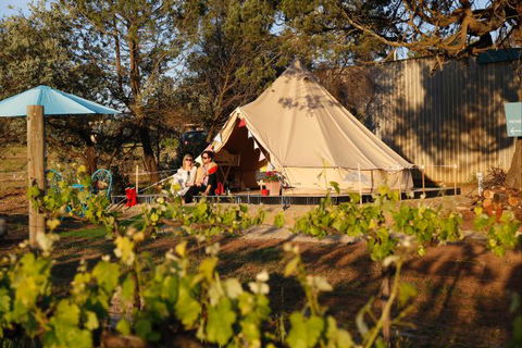 Grapevine Glamping - Tourism TAS 0