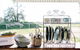 Grapevine Glamping - thumb 3