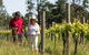 Grapevine Glamping - thumb 7