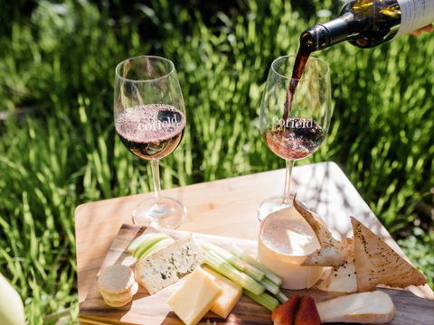 Grapevine Glamping - Tourism TAS 8