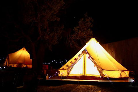 Grapevine Glamping - Tourism TAS 9