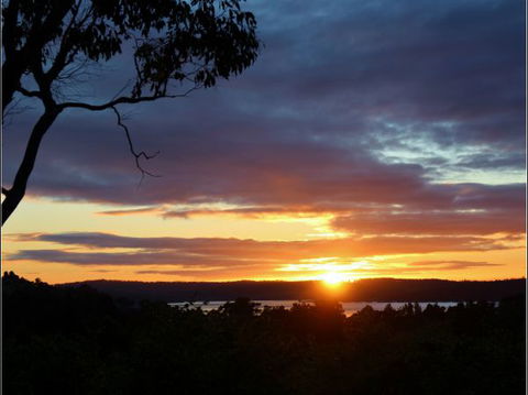 Herons Rise Vineyard Accommodation - Tourism TAS 4