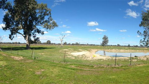 Twin Palms Cottage - Hobart Tourism 6