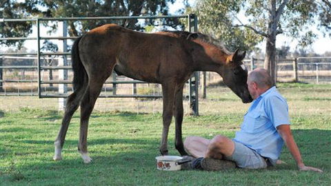 Twin Palms Cottage - Hobart Tourism 5