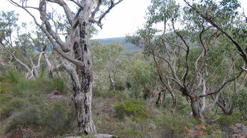 The Glen - Hobart Tourism 0