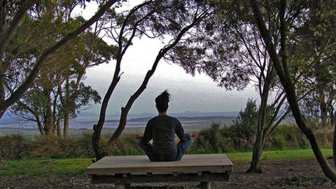 Sabrelyn Park - Tourism TAS 4