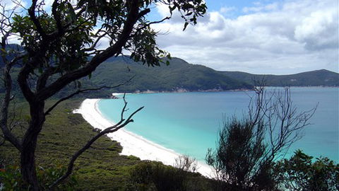 Sabrelyn Park - Tourism TAS 6