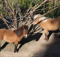 Cloud End Farmstay - Tourism TAS