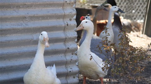 Cloud End Farmstay - Tourism TAS 8