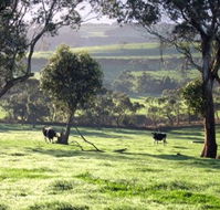 Bellevue Farmstay - Tourism TAS