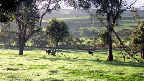 Bellevue Farmstay - Tourism TAS 0