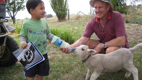 Bellevue Farmstay - Tourism TAS 1