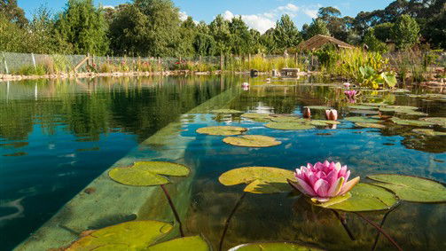 Stanley VIC Tourism TAS