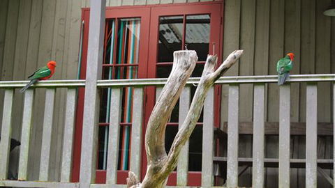 Wildwood Retreat - Tourism TAS 4