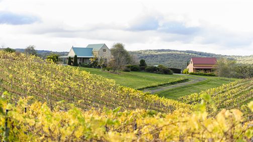 Davidson NSW Tourism TAS