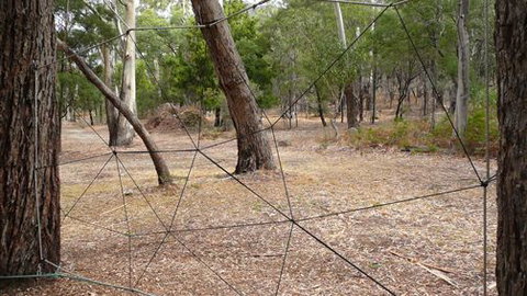 UC Camping Norval - Tourism TAS 1