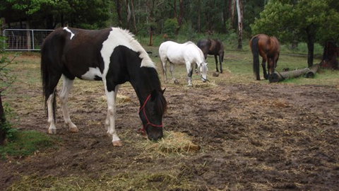 Buller Basecamp Retreat - Tourism TAS 4