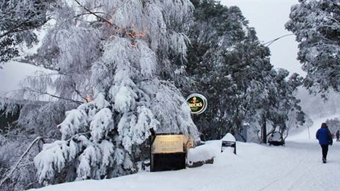 Feathertop Alpine Lodge - Tourism TAS 0
