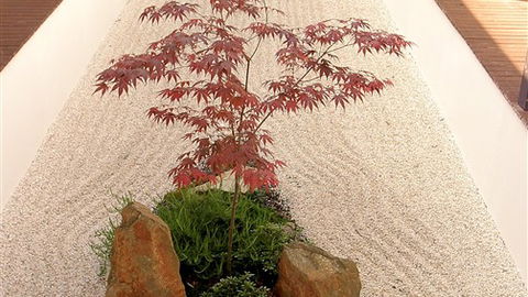 Shizuka Ryokan Japanese Country Spa & Wellness Retreat - Tourism TAS 6