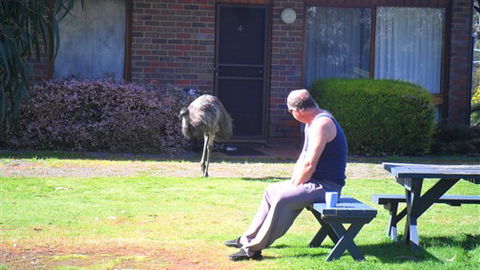 Halls Haven Resort - Tourism TAS 7