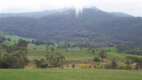 Murphy's Cabin - Tourism TAS 1