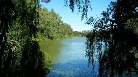 Perricoota Station - Tourism TAS 2