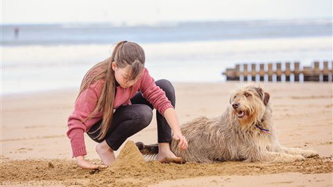Front Beach Torquay Beach Houses - Tourism TAS 4