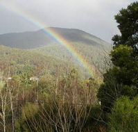 Wattletree Cottage - Hobart Tourism