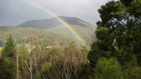 Wattletree Cottage - Tourism TAS 0
