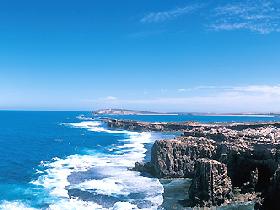 Coodlie Park Farm Retreat - Tourism TAS 2