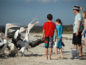 Malibu Lodge - Tourism TAS 3