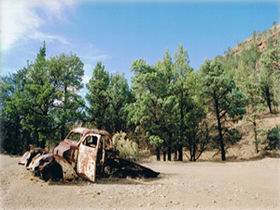 Moolooloo Station - Tourism TAS 1