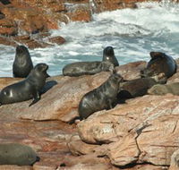 Yondah Beach House - Hobart Tourism