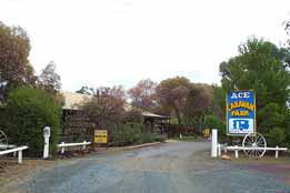 Ace Caravan Park - Hobart Tourism 0