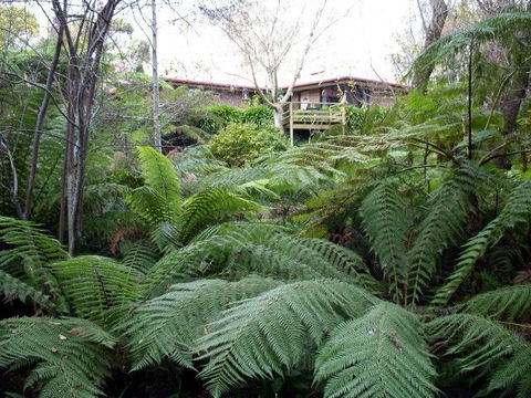 Adelaide Hills Bed & Breakfast Accommodation - Hobart Tourism 3