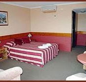 Winsor Park Motor Inn - Hobart Tourism
