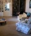 Arcady Homestead - Tourism TAS 2