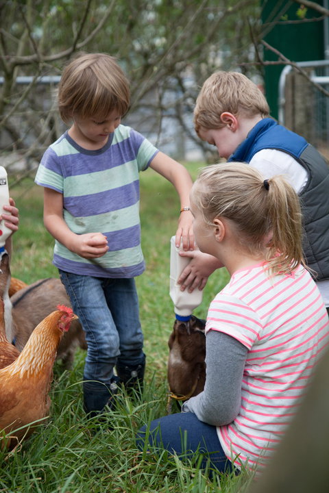 Lalee Farm - Tourism TAS 5