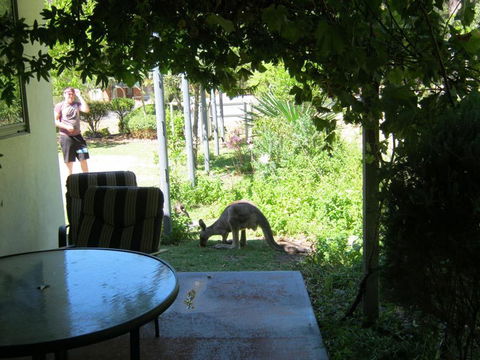 Tim's Place - Tourism TAS 2