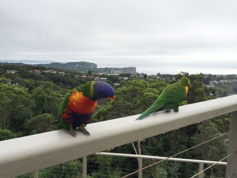 Avalon Horizons - Tourism TAS 8