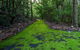 Booderee National Park: Green Patch Camping Area - thumb 0