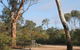 Drummonds Camp At Avon Valley National Park - thumb 0