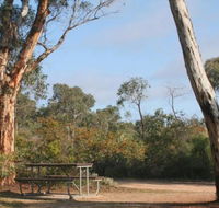 Drummonds Camp at Avon Valley National Park - Tourism TAS