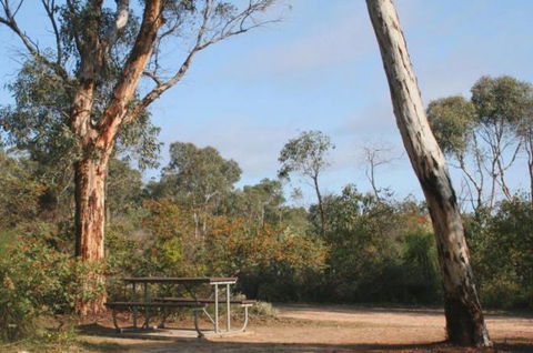 Drummonds Camp At Avon Valley National Park - Tourism TAS 0