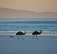 Thomas River Shire Reserve Camp at Cape Arid National Park - Tourism TAS
