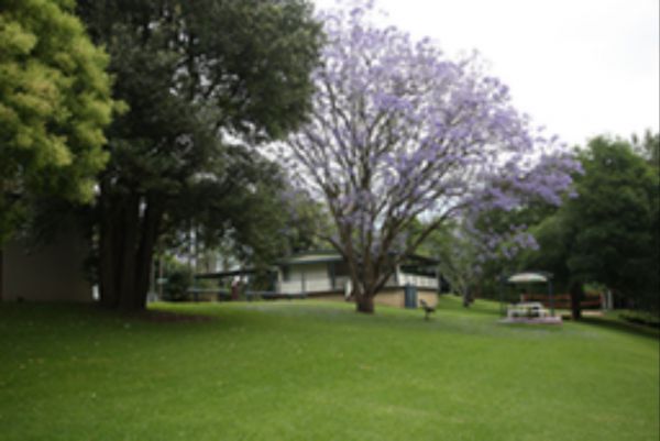 Pitt Town NSW Tourism TAS