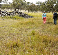 Carnarvon National Park camping - Hobart Tourism